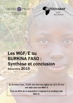 Key Findings: FGM/C in Burkina Faso (2015, French)